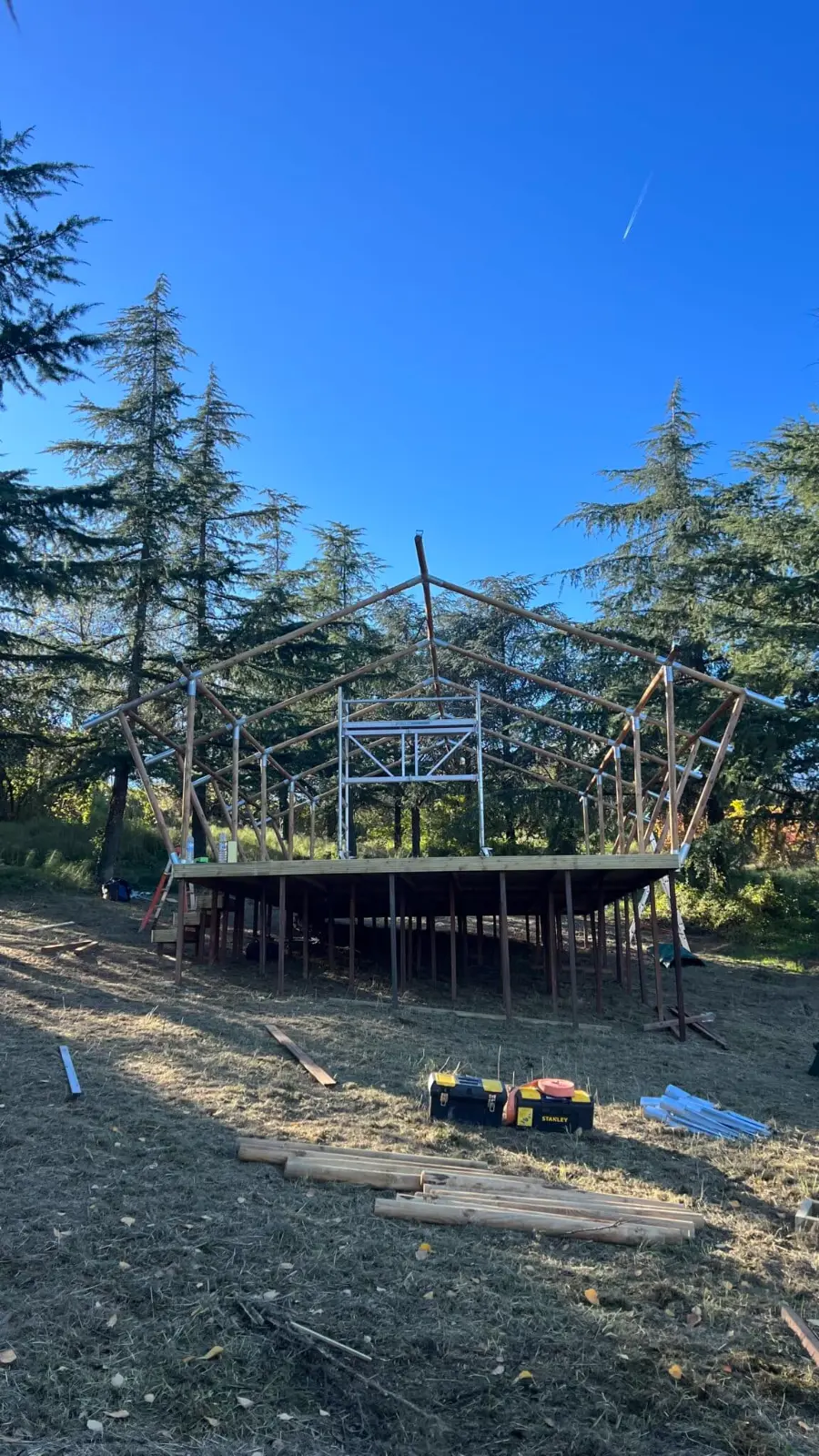 Glamping tent frame being installed among pine trees